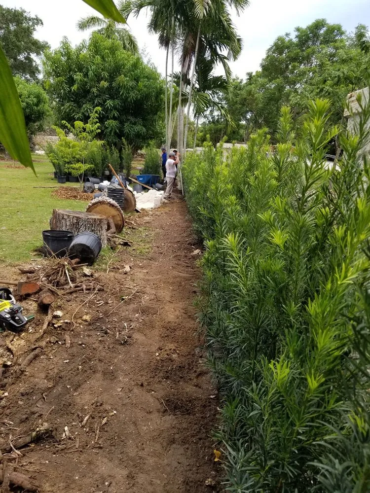 Professional yard cleanup service in Homestead, FL by Jf Nursery & Landscaping