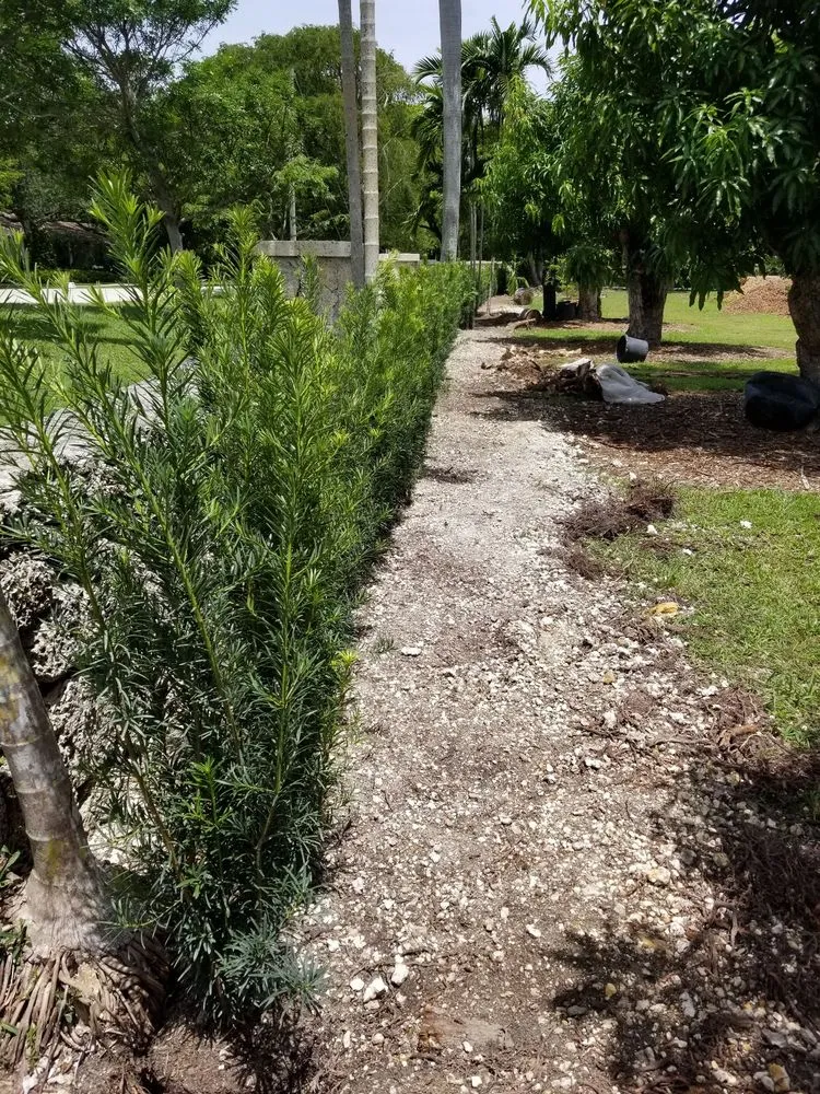 Custom lawn care service for homes in Homestead, FL by Jf Nursery & Landscaping