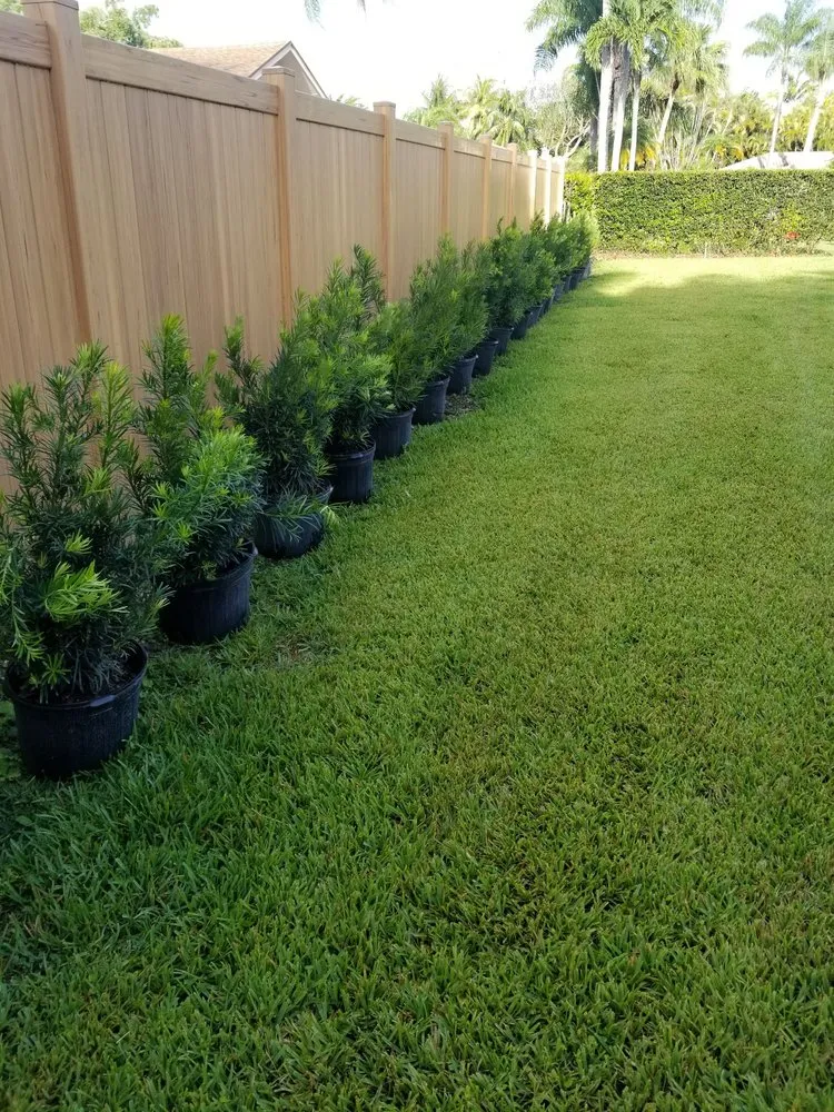 Professional landscaping services near you in Homestead, FL by Jf Nursery & Landscaping