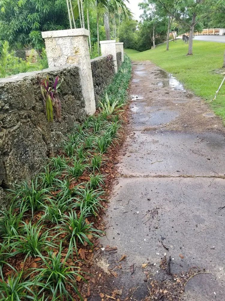 Top-rated landscaping services in Homestead, FL - Jf Nursery & Landscaping