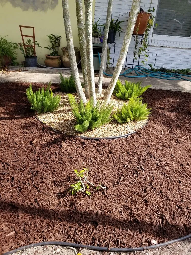 Trusted landscape installation in Homestead, FL - Jf Nursery & Landscaping