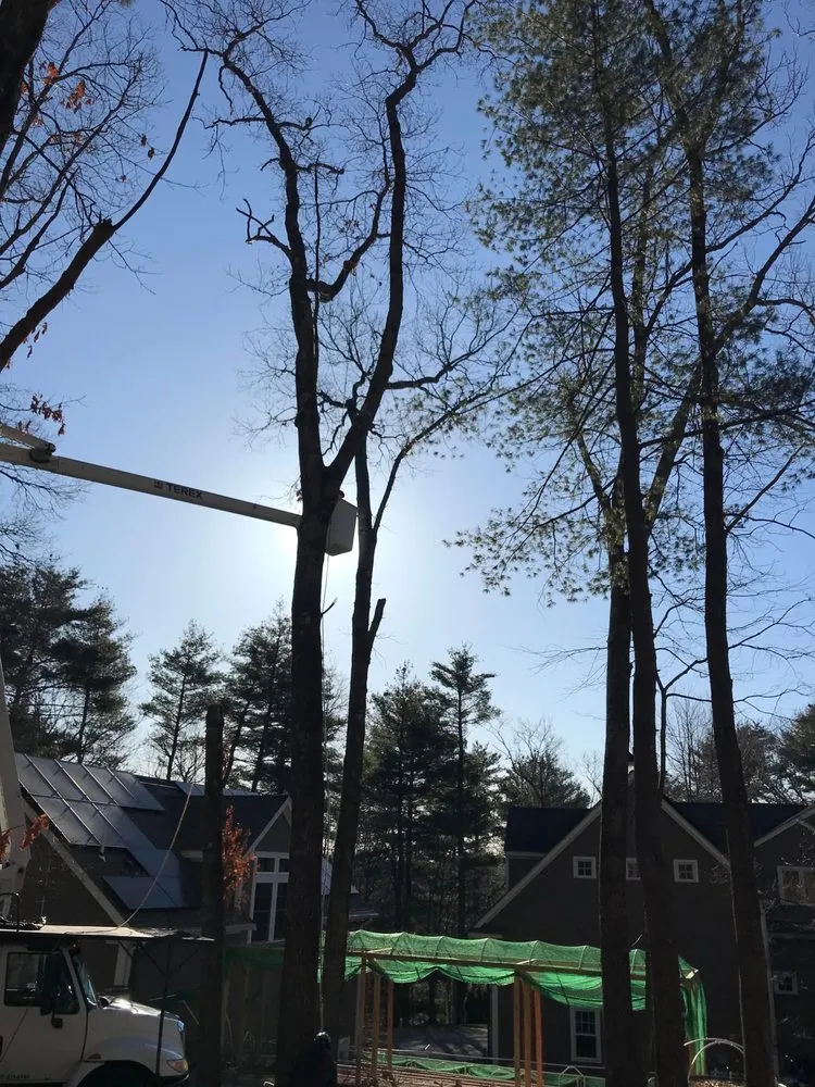 Top-rated landscape design in Lynn, MA by J&F Tree Services & Landscaping