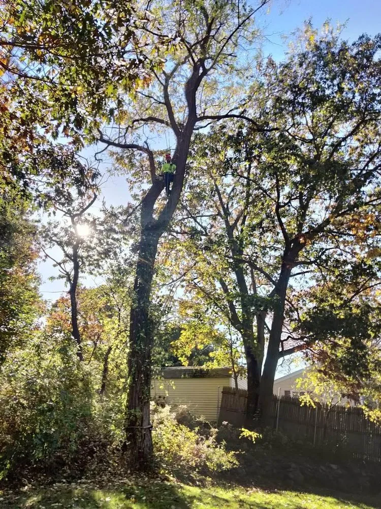 Local outdoor landscaping for beautiful yards across Lynn, MA - J&F Tree Services & Landscaping