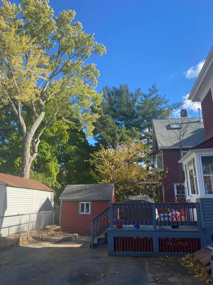 Expert outdoor landscaping in Lynn, MA - J&F Tree Services & Landscaping