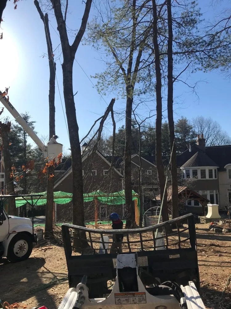 Professional lawn mowing service in Lynn, MA by J&F Tree Services & Landscaping