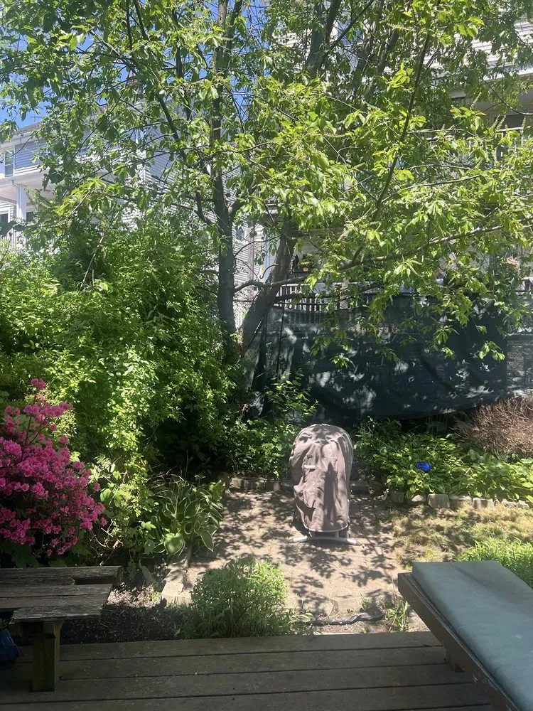 Trusted lawn mowing service in Lynn, MA - J&F Tree Services & Landscaping