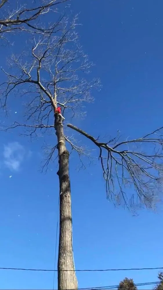 Trusted garden landscaping in Lynn, MA - J&F Tree Services & Landscaping