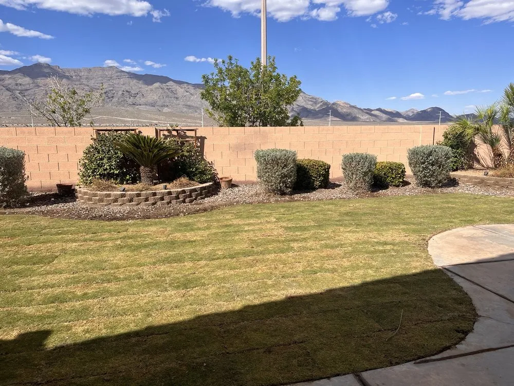 Affordable lawn care service in Las Vegas, NV - JFC LANDSCAPE