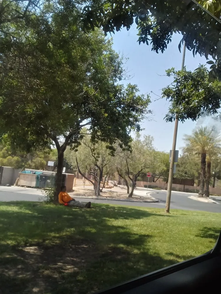 Professional landscape installation for beautiful yards across Las Vegas, NV - JFC LANDSCAPE