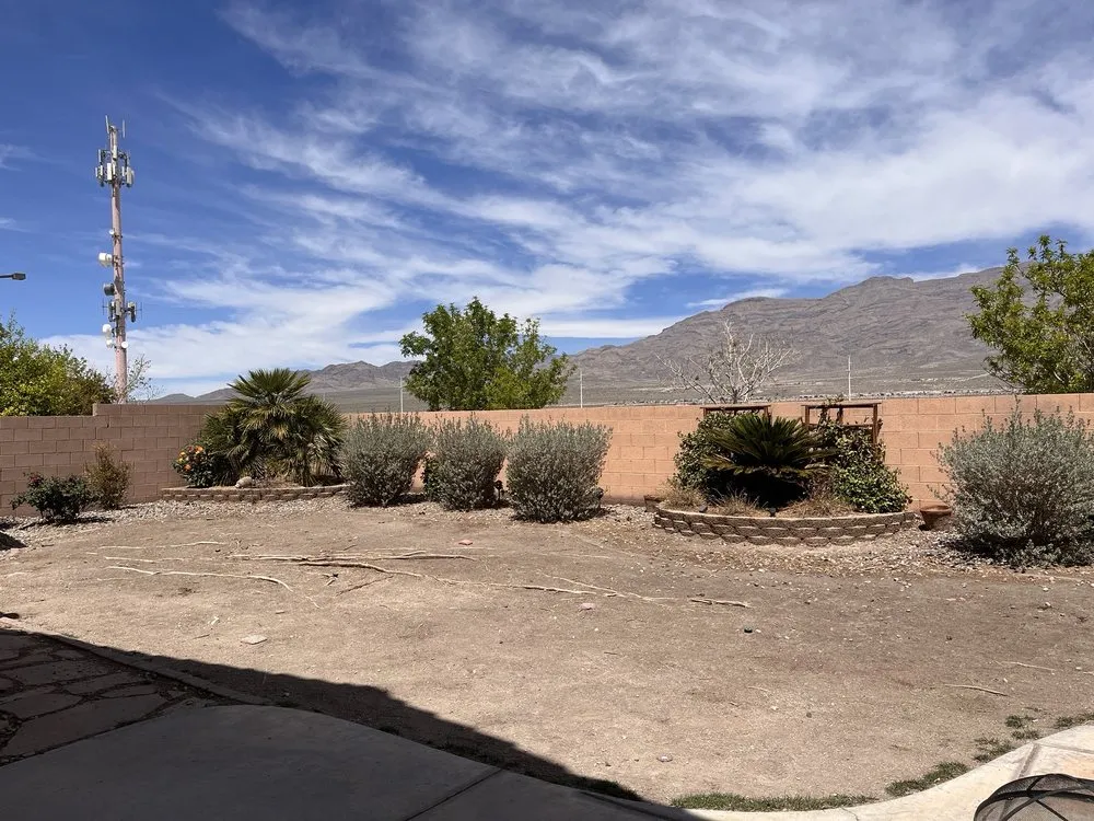 Local yard cleanup service in Las Vegas, NV - JFC LANDSCAPE