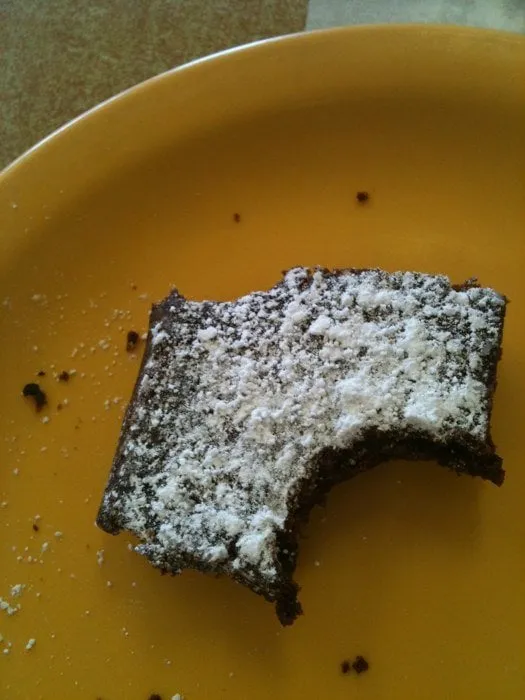 Expert garden landscaping in Tampa, FL by JFC Landscaping & Sod