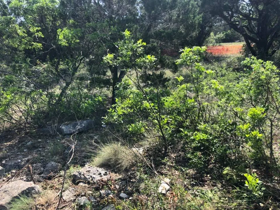 Top-rated landscaping services experts serving San Antonio, TX - JFD Transport