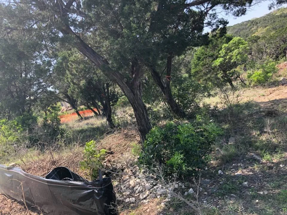 Local yard cleanup service for beautiful yards across San Antonio, TX - JFD Transport