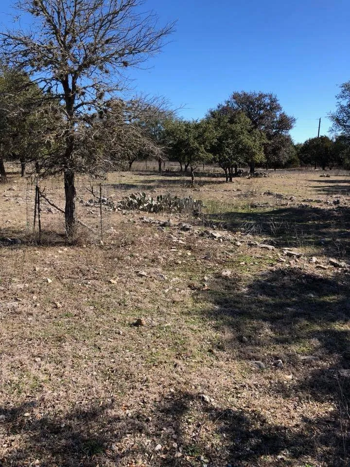 Reliable yard maintenance in San Antonio, TX by JFD Transport