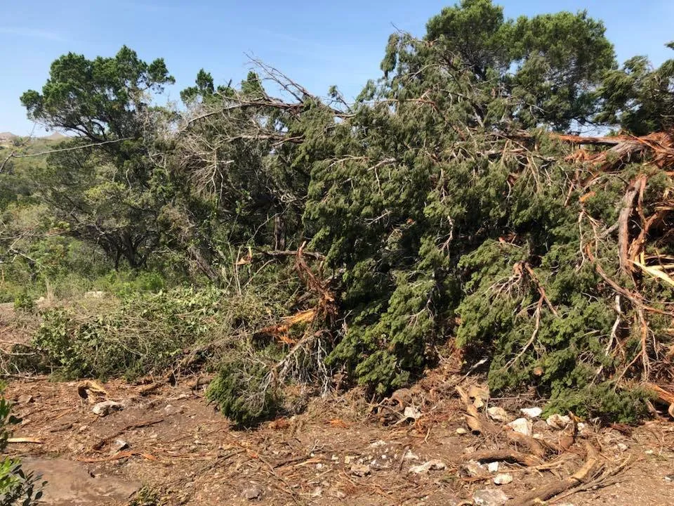 Trusted lawn mowing service for residential properties in San Antonio, TX by JFD Transport