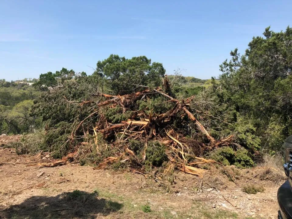 Local landscape design for year-round maintenance in San Antonio, TX by JFD Transport