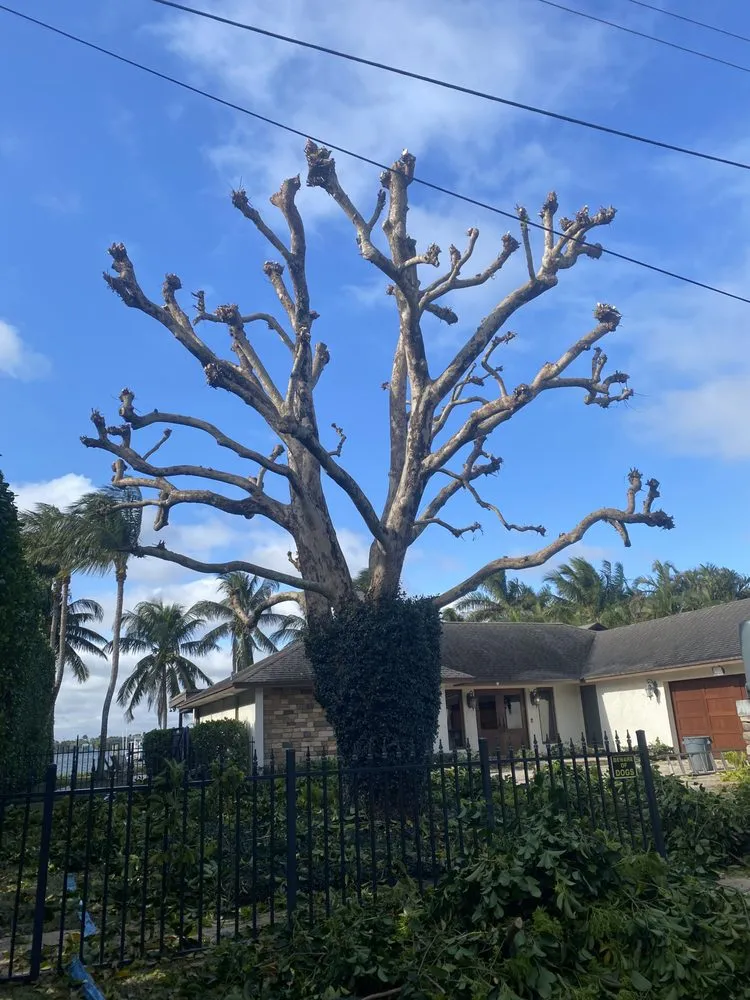 Professional yard maintenance in Jupiter, FL - JFL Property Maintenance