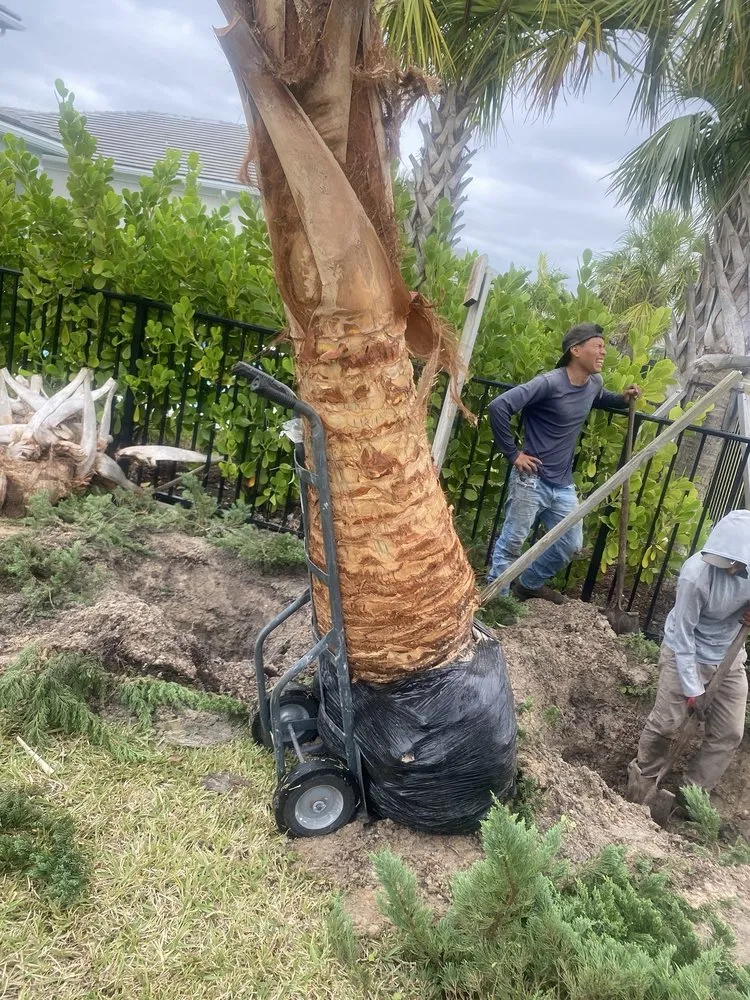 Custom yard maintenance experts serving Jupiter, FL - JFL Property Maintenance