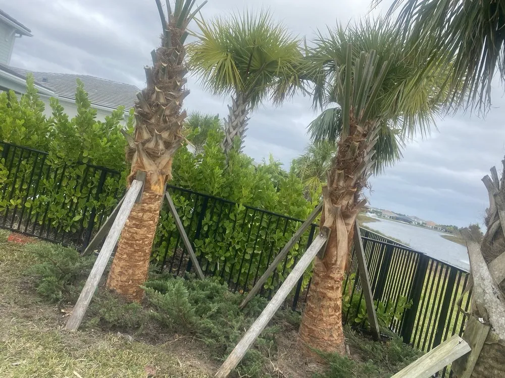 Top-rated residential landscaping near you in Jupiter, FL by JFL Property Maintenance