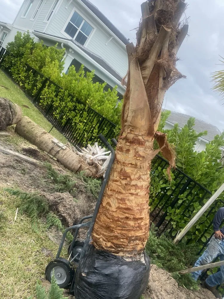 Affordable yard cleanup service near you across Jupiter, FL - JFL Property Maintenance