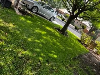 Reliable lawn care service for homes across Kyle, TX - JFP Landscaping Services