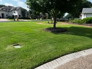 Affordable outdoor landscaping for homes in Kyle, TX by JFP Landscaping Services