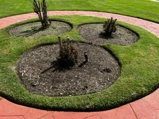 Local yard maintenance for homes across Kyle, TX - JFP Landscaping Services