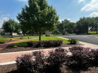 Reliable yard maintenance in Kyle, TX - JFP Landscaping Services