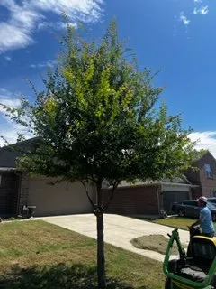 Affordable lawn mowing service experts serving Kyle, TX - JFP Landscaping Services