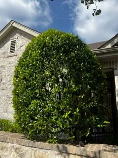 Professional outdoor landscaping experts serving Kyle, TX - JFP Landscaping Services