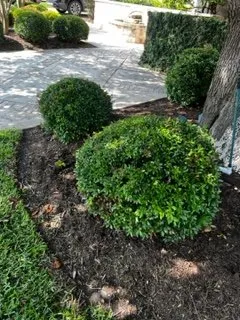 Professional garden landscaping for homes across Kyle, TX - JFP Landscaping Services