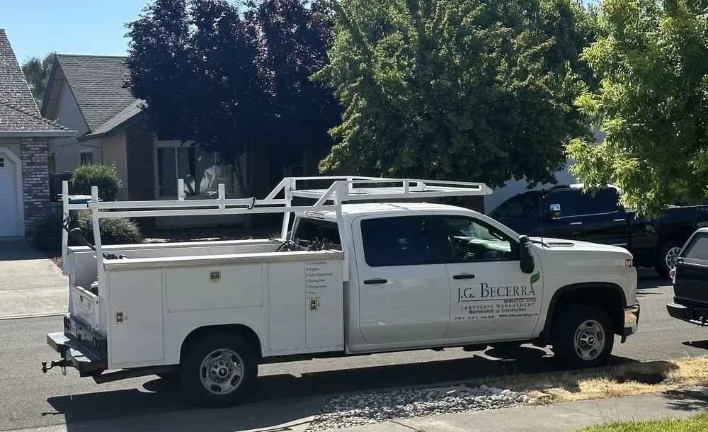 Custom yard cleanup service in Petaluma, CA - JG Becerra Landscape Management