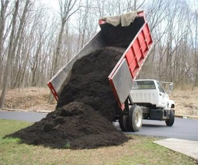 Trusted landscape design in Petaluma, CA - JG Becerra Landscape Management