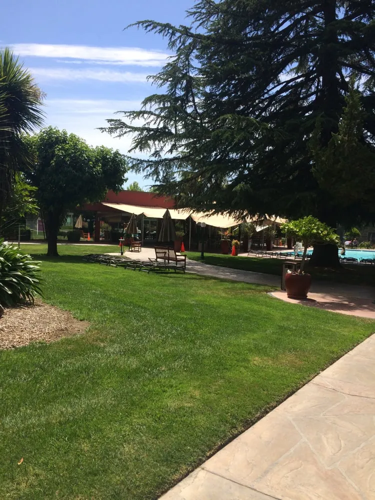 Professional residential landscaping in Petaluma, CA by JG Becerra Landscape Management