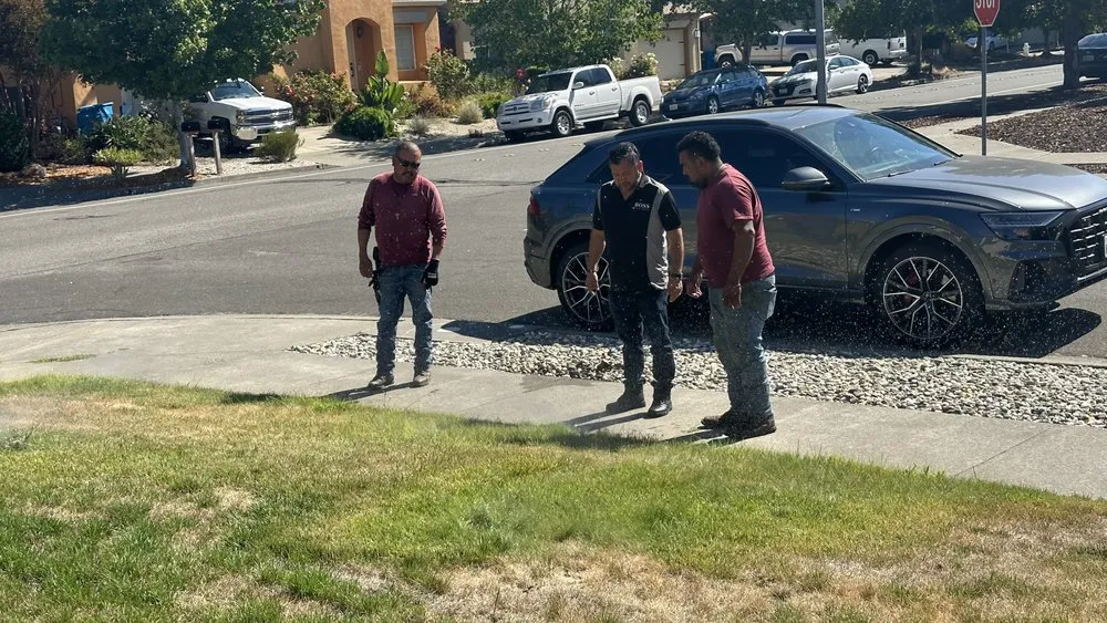 Professional landscape installation in Petaluma, CA - JG Becerra Landscape Management