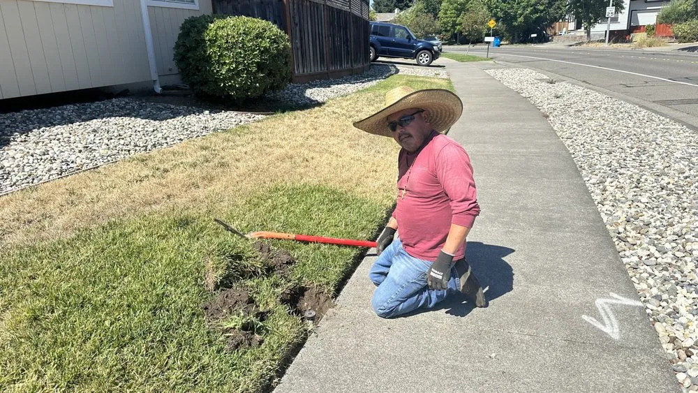 Professional landscape design in Petaluma, CA by JG Becerra Landscape Management