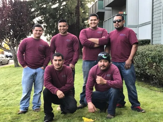 Top-rated lawn care service in Petaluma, CA - JG Becerra Landscape Management
