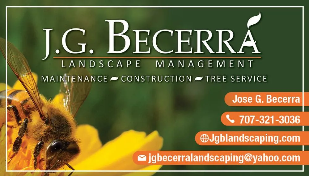 Affordable outdoor landscaping in Petaluma, CA by JG Becerra Landscape Management