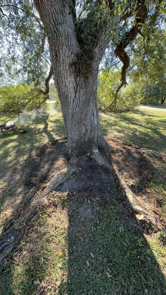 Professional landscaping services for residential properties in Cottondale, FL by JG Chambliss