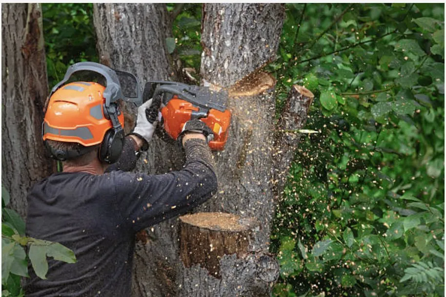 Top-rated garden landscaping experts serving Park Hills, MO - J&G Contracting