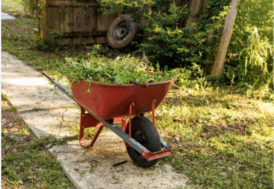 Top-rated lawn care service experts serving Park Hills, MO - J&G Contracting