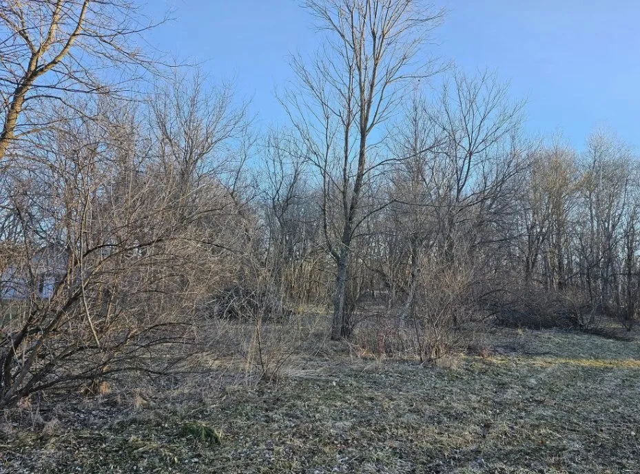 Professional lawn mowing service experts serving Hartford, WI - JG Dirt Worx