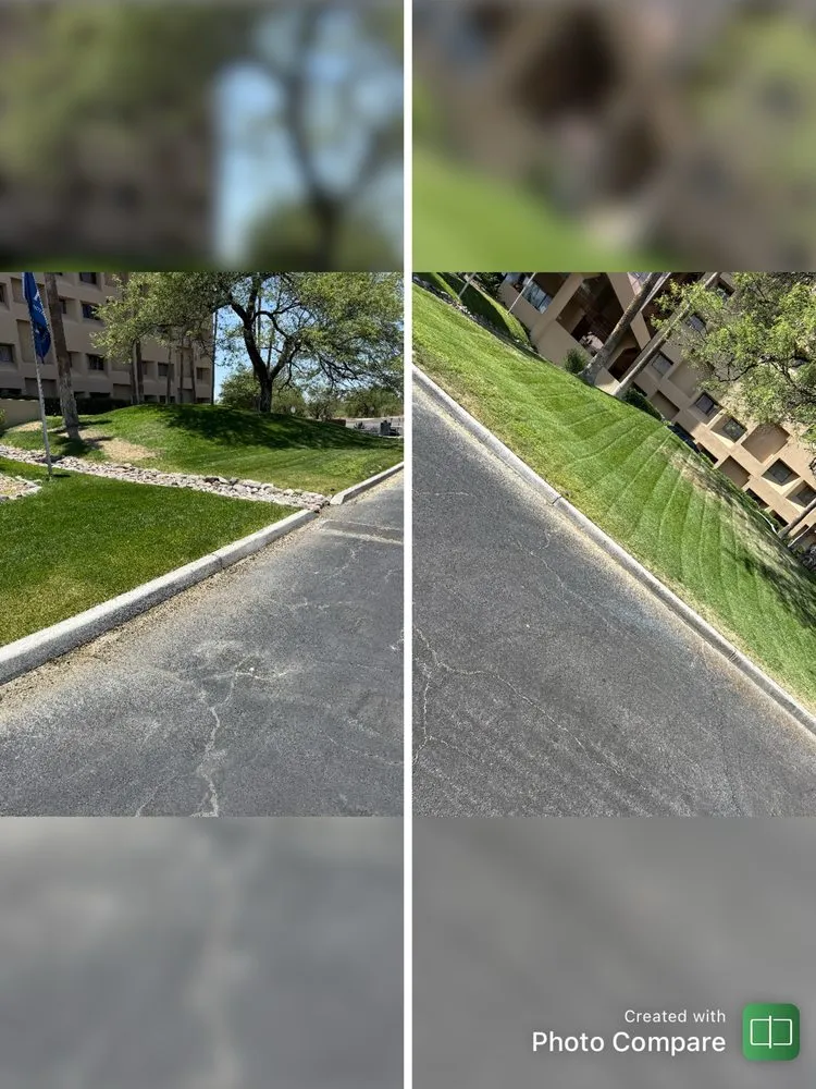 Expert lawn care service with custom design across Tucson, AZ - JG Earth Works