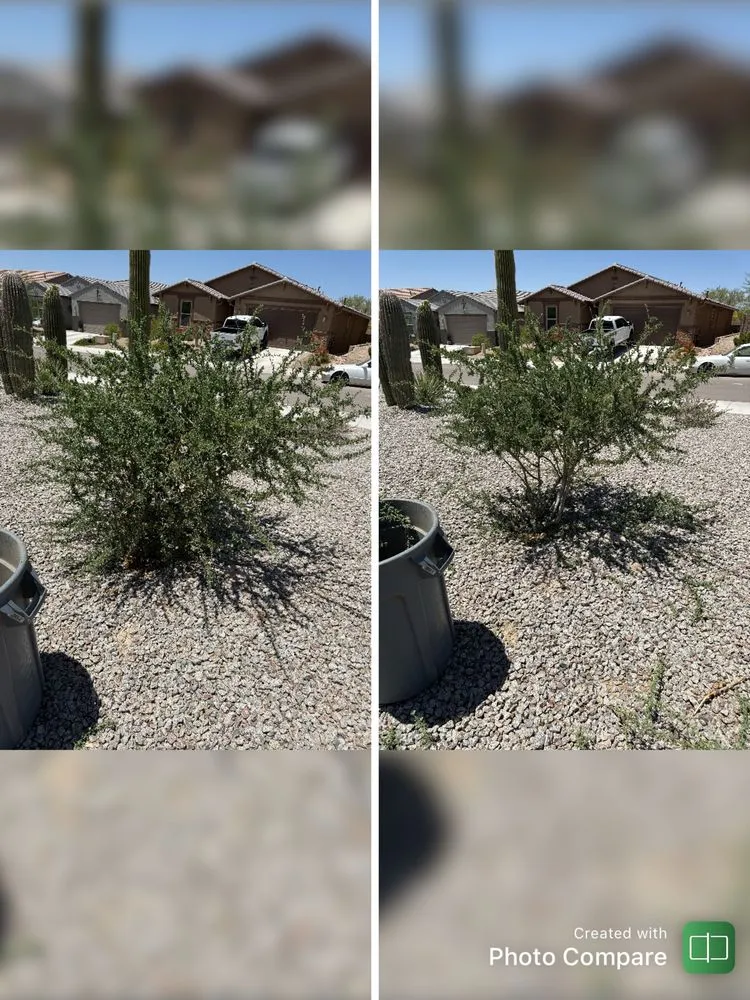 Top-rated outdoor landscaping for homes across Tucson, AZ - JG Earth Works