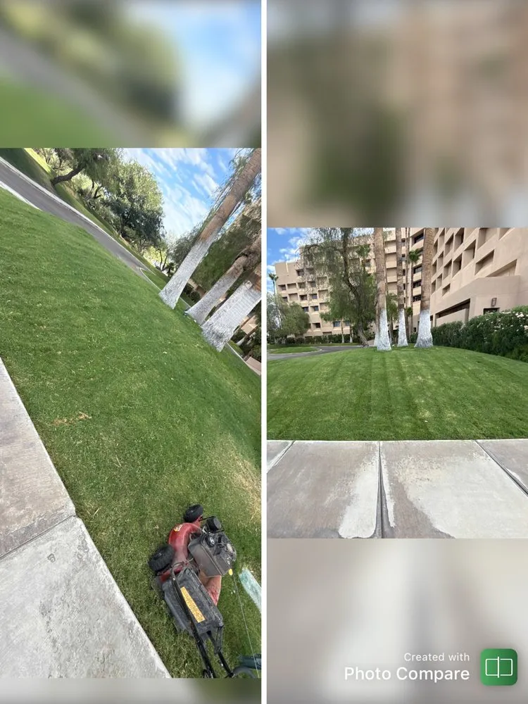 Trusted garden landscaping for beautiful yards in Tucson, AZ by JG Earth Works