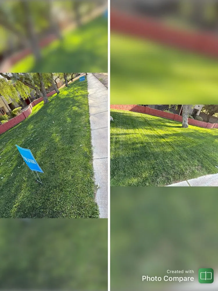 Top-rated yard cleanup service for year-round maintenance across Tucson, AZ - JG Earth Works