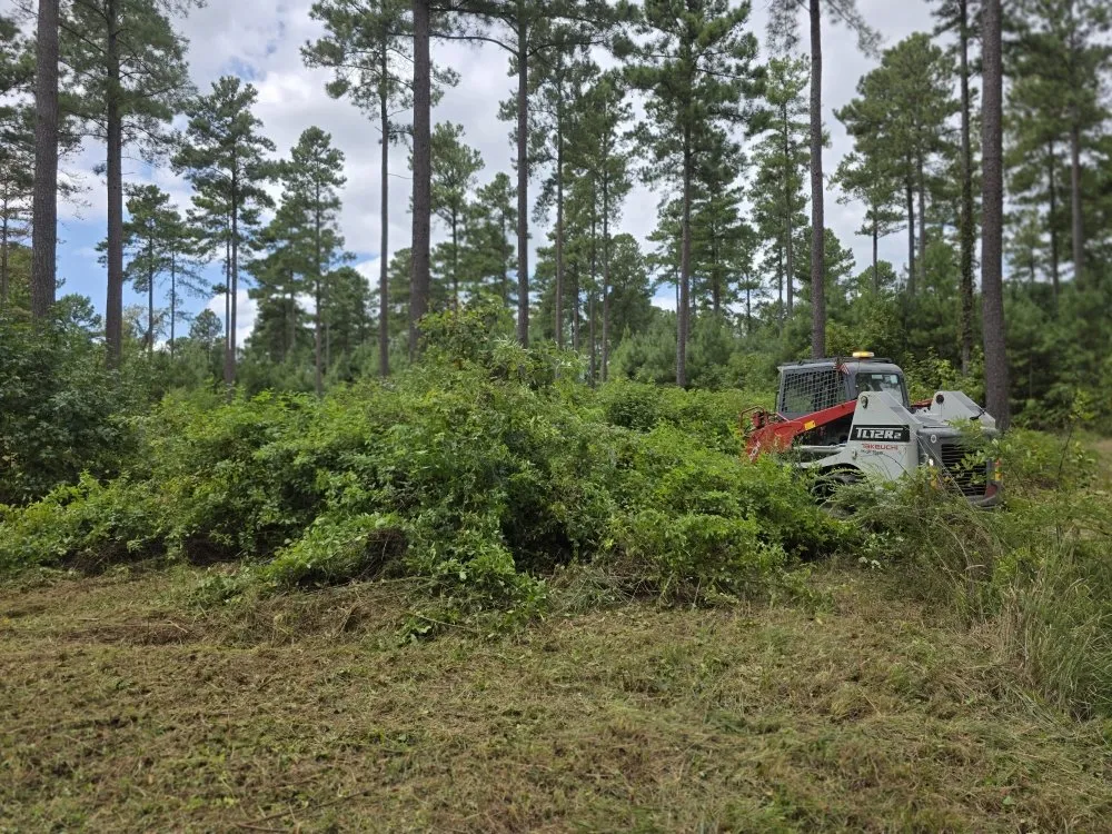 Affordable landscape installation for residential properties across Henderson, NC - JG Grading and Landscaping