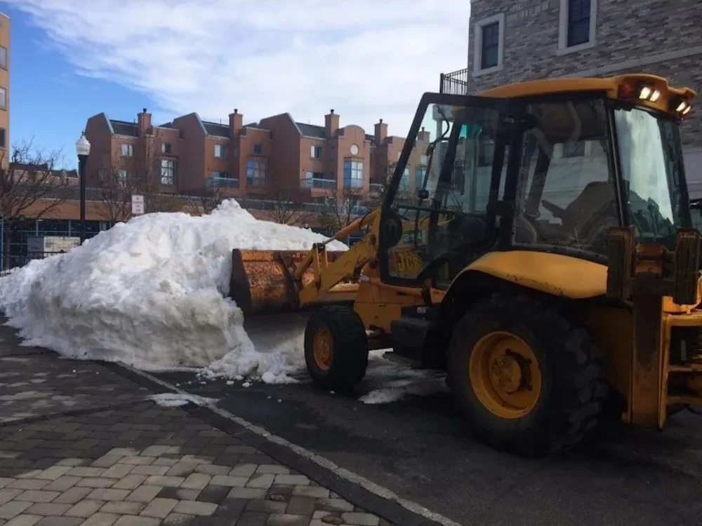 Professional yard cleanup service for homes across Fort Lee, NJ - JG Handyman