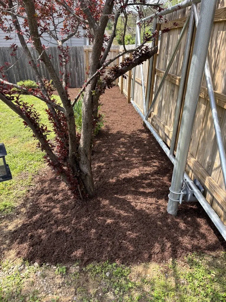 Top-rated yard maintenance with custom design in Nashville, TN by JG Hauling & Landscaping