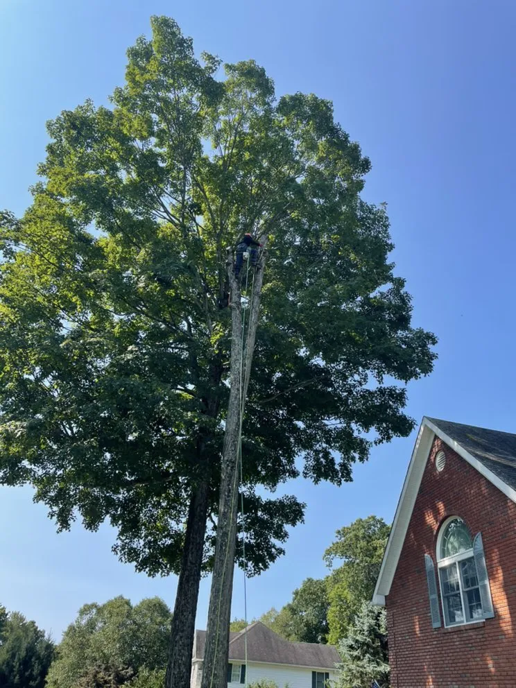 Expert outdoor landscaping experts serving Mount Kisco, NY - Jg landscape & garden and design